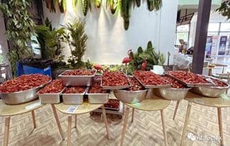 快樂工作，開心生活——普健生物第三屆龍蝦節圓滿結束