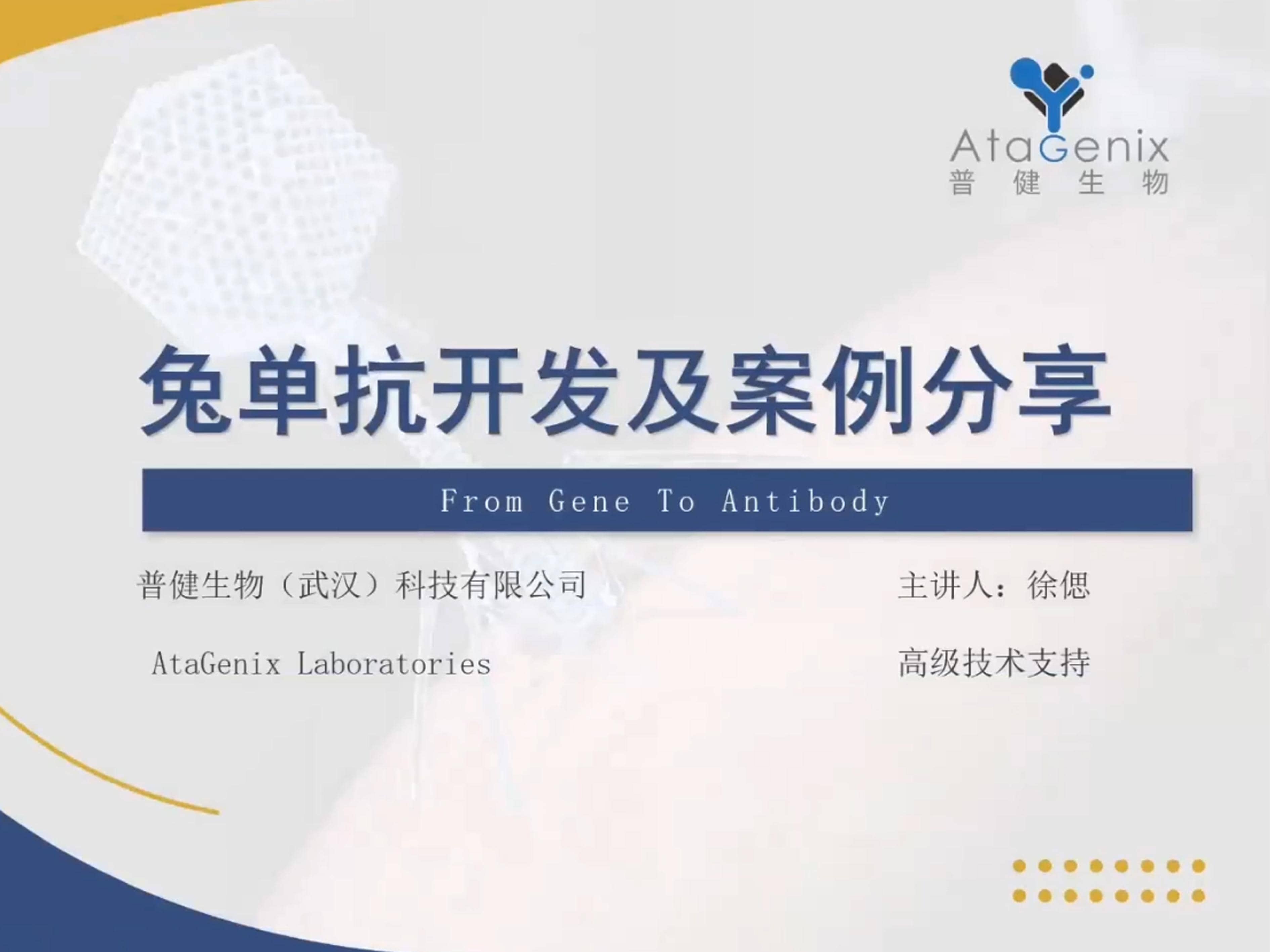 兔單抗開發及案例分享