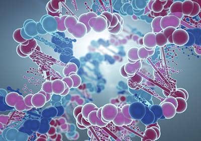 全人源抗體為什么會成為抗體發展的新趨勢?