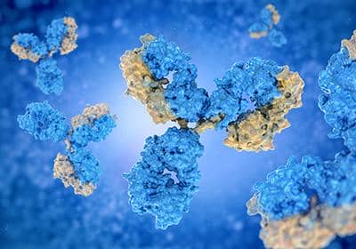 如何選擇合適的一抗產品?