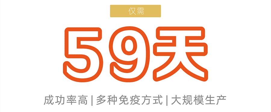 雜交瘤細胞開發-鼠單克隆抗體僅需59天