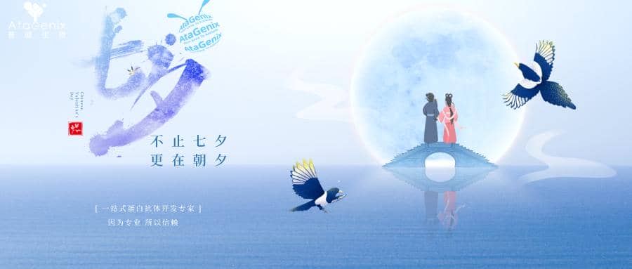 科研人CP指南|誰是你的科研搭子？？