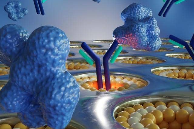 雜交瘤、噬菌體以及單B細胞技術該選擇哪個?