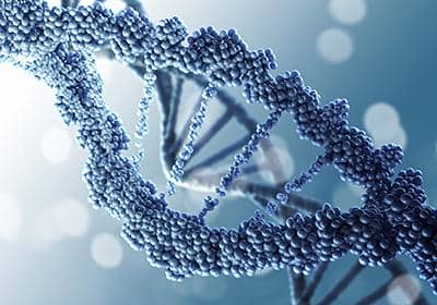 重組蛋白表達之細胞轉染的原理及問題解析