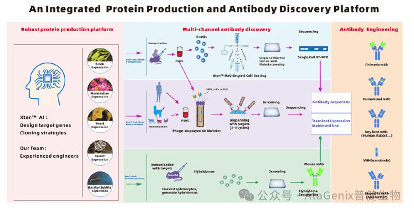 武漢市中心醫院胃腸痔瘺外科專家王智輝醫生訪問普健生物（武漢）科技有限公司