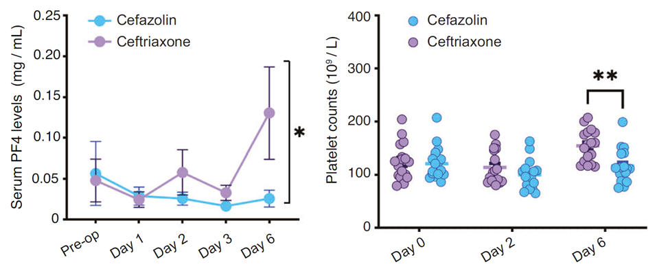 Ceftriaxone抑制C3上調、維持PF4水平，發(fā)揮認知保護作用