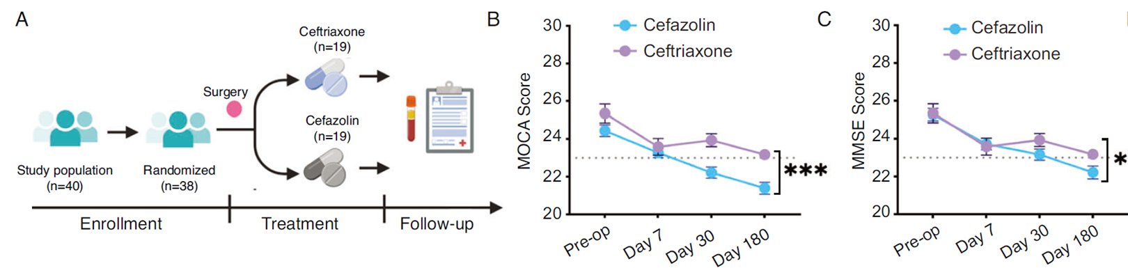 Ceftriaxone顯著降低老年患者術后PNCD發(fā)生率，改善認知功能。