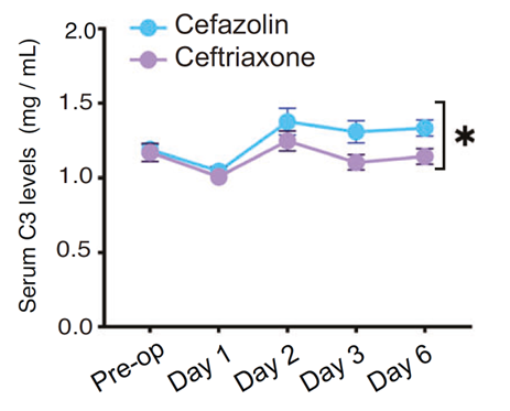 Ceftriaxone抑制C3上調、維持PF4水平，發(fā)揮認知保護作用